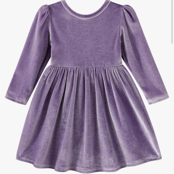 Other - Girl’s Long Sleeve Velvet Dress in Purple